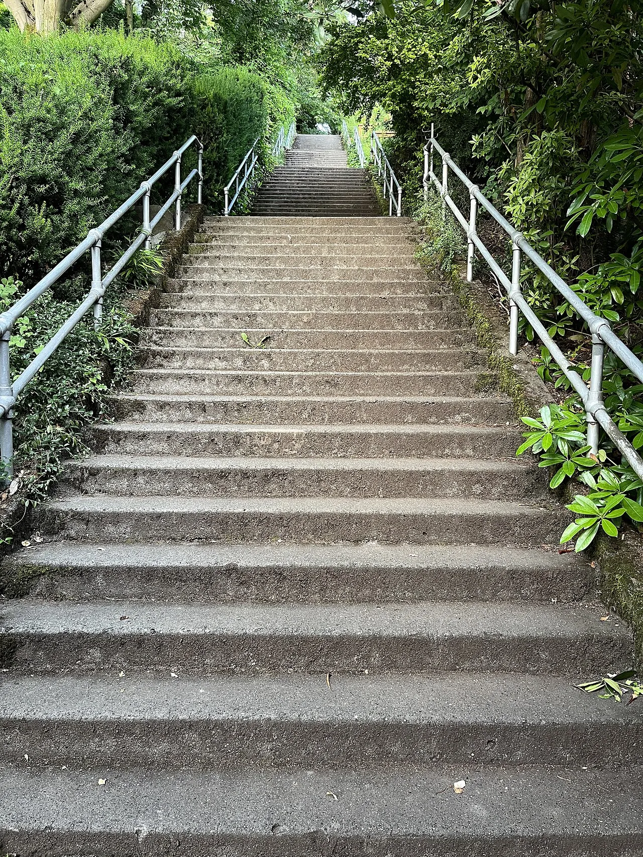 Howe Street Stairs, Seattle, Washington, 2024 in Seattle, Washington